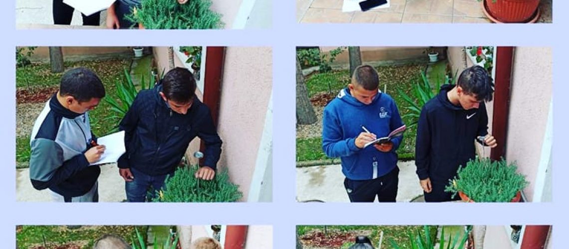 307679501_8158944387481433_4015224496461061343_n